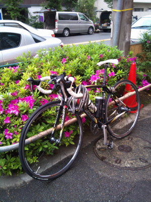 つつじと愛車 つつじと愛車