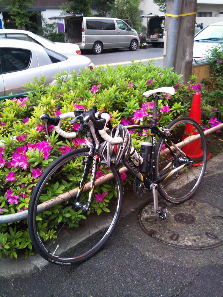 つつじと愛車