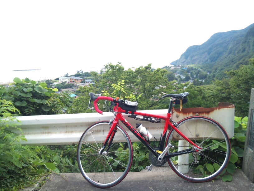 角田山中腹